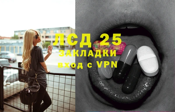 шишки Вязьма
