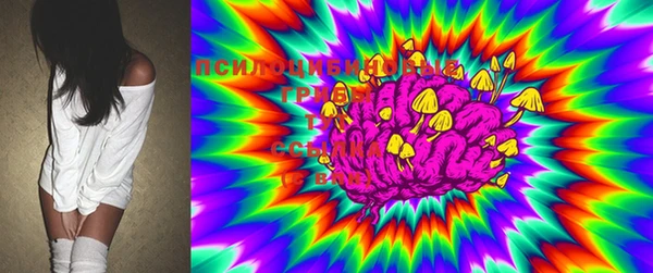 шишки Вязьма