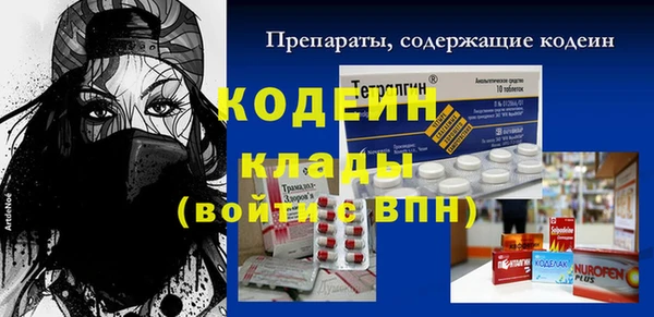 шишки Вязьма