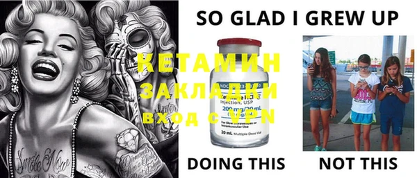 шишки Вязьма