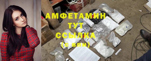 прущая мука Вяземский