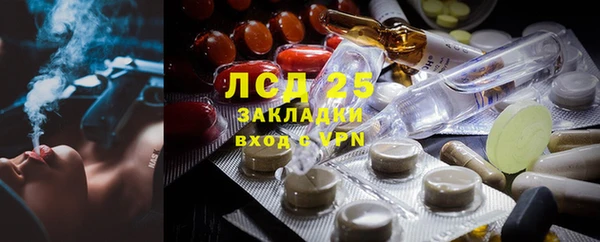 шишки Вязьма