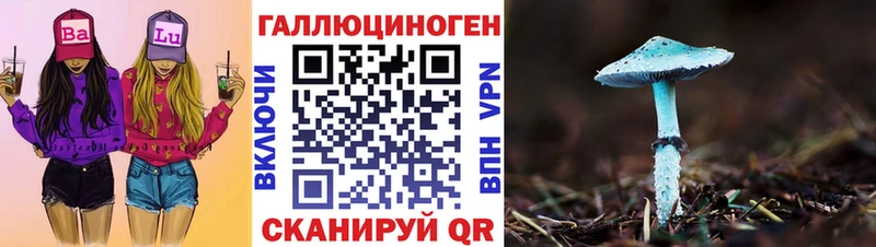 даркнет наркотические препараты  Салават  Галлюциногенные грибы Psilocybe 
